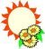 sunshine and flowers